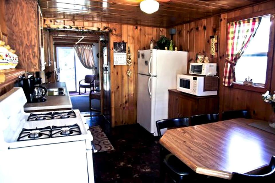 Lake Cabin Perfect for a Groups Escape and Outdoor Sports in Carp Lake, Michigan Cabin in Carp Lake