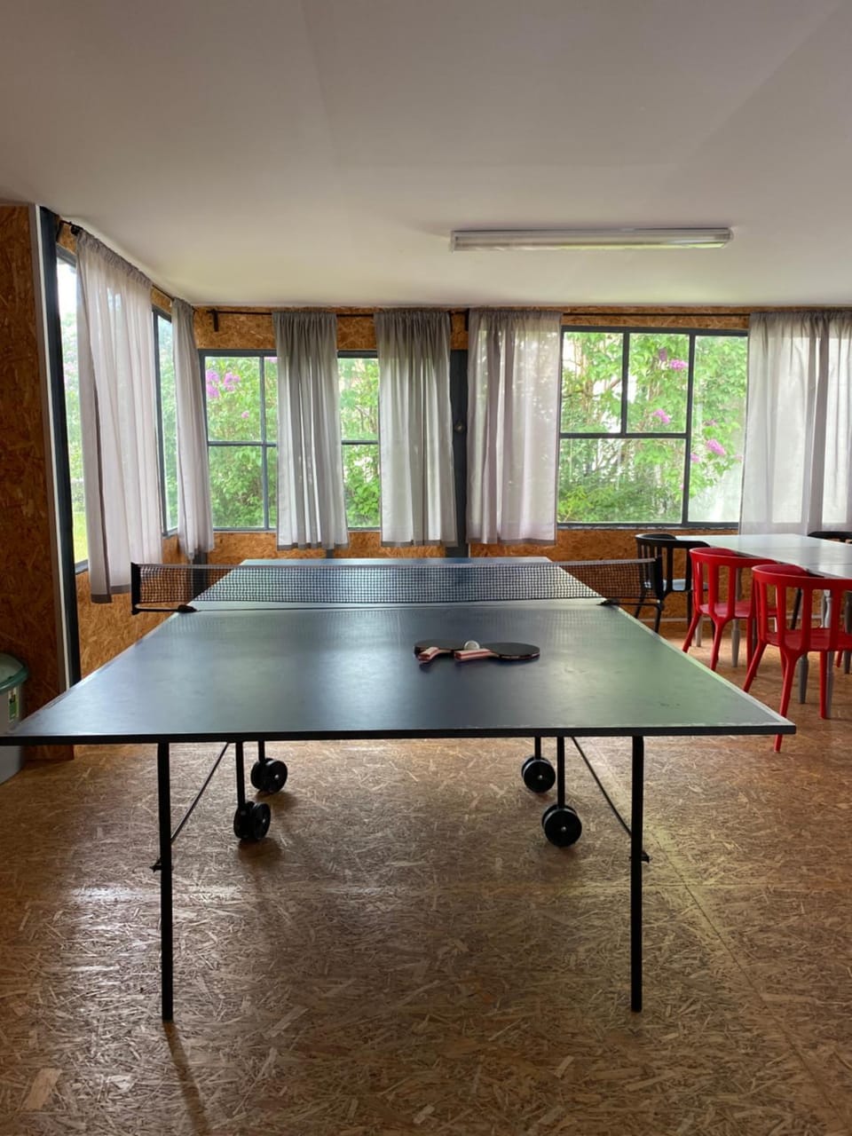 Communal lounge/ TV room, Game Room, Table tennis