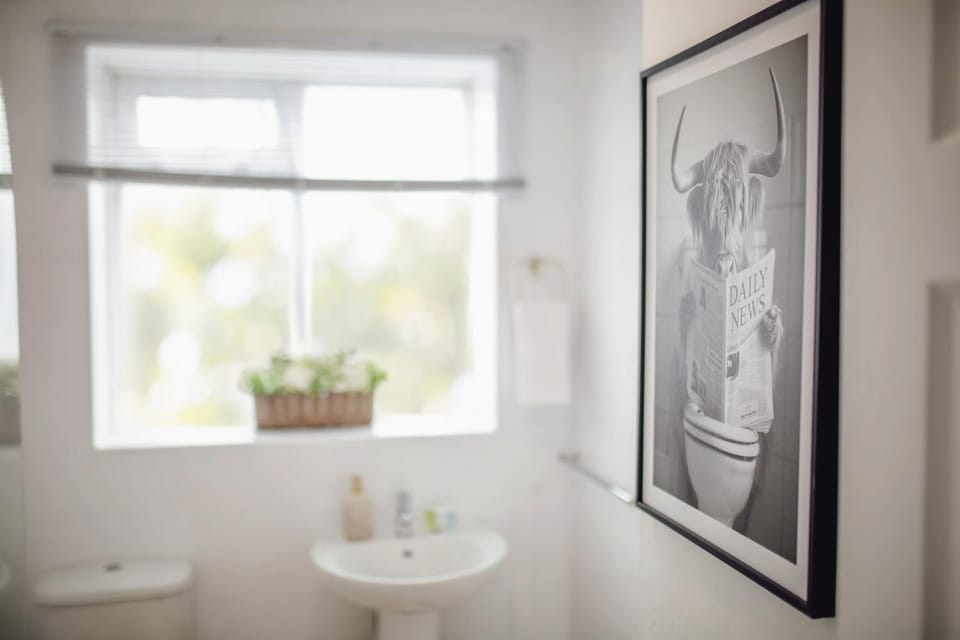 Toilet, Bathroom, Decorative detail