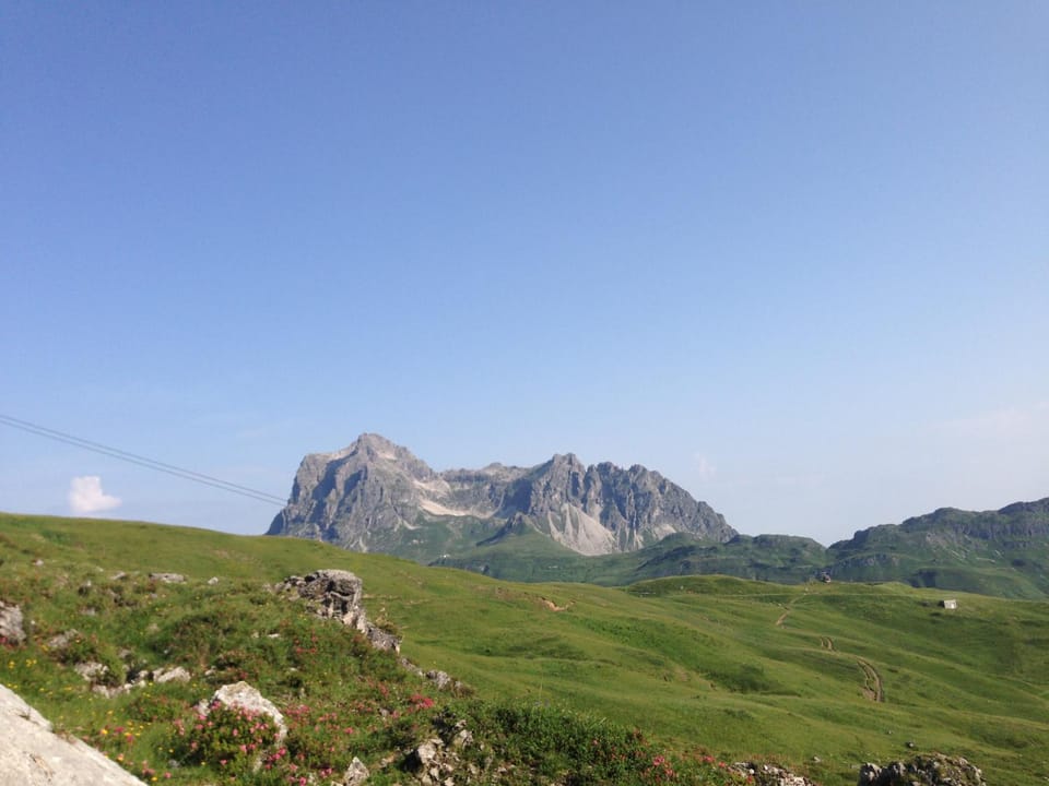 Haus Anemone Apartment in Tyrol