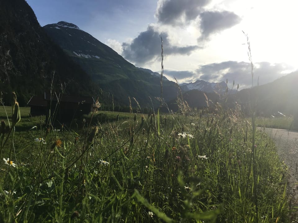 Haus Anemone Apartment in Tyrol