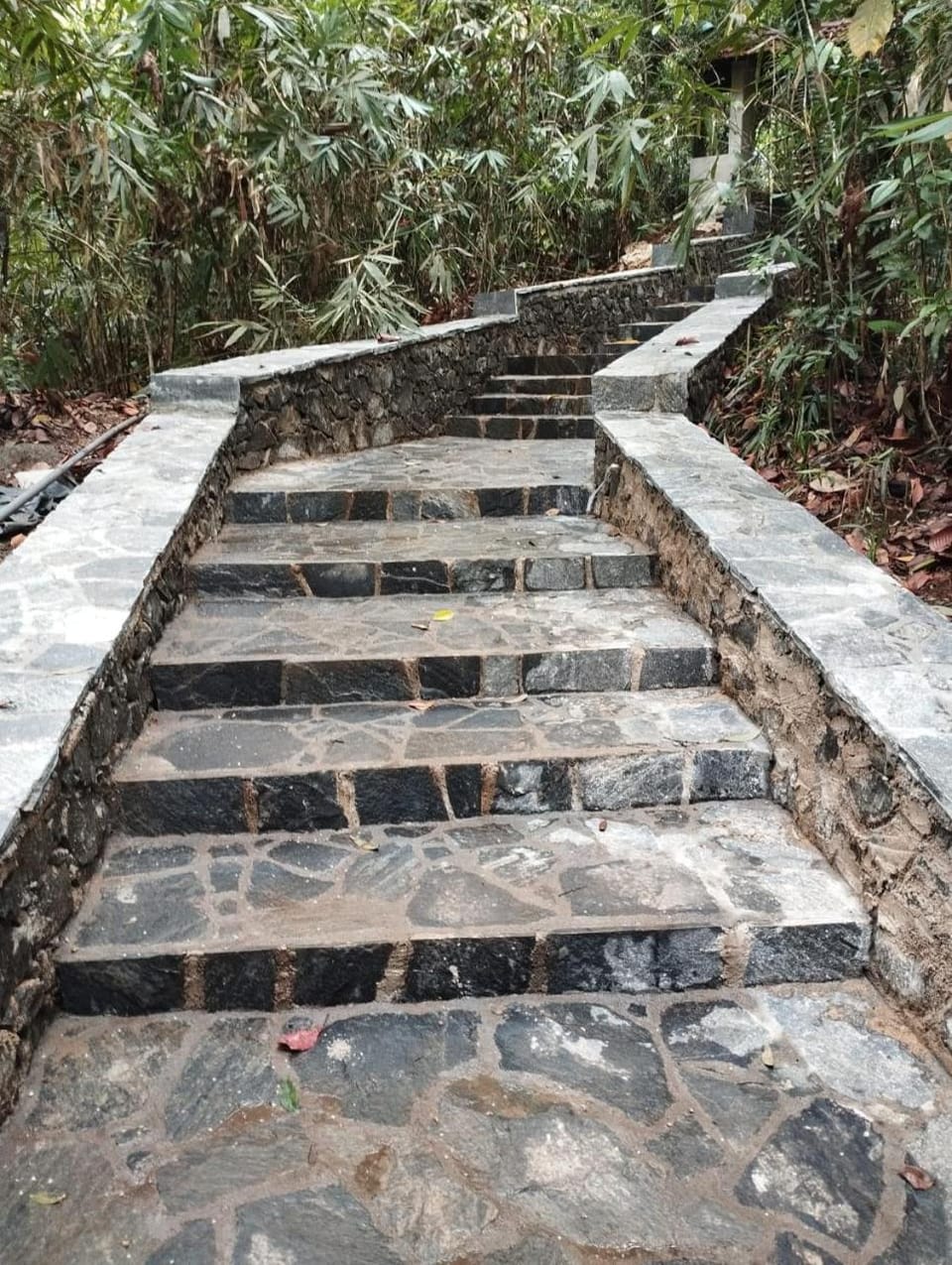 Makelioya Nature Resort Resort in Western Province