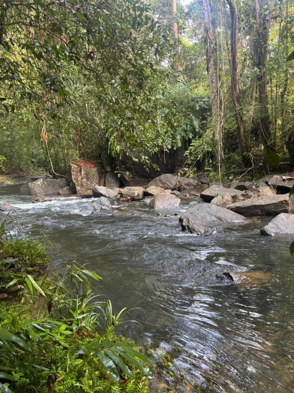 Makelioya Nature Resort Resort in Western Province