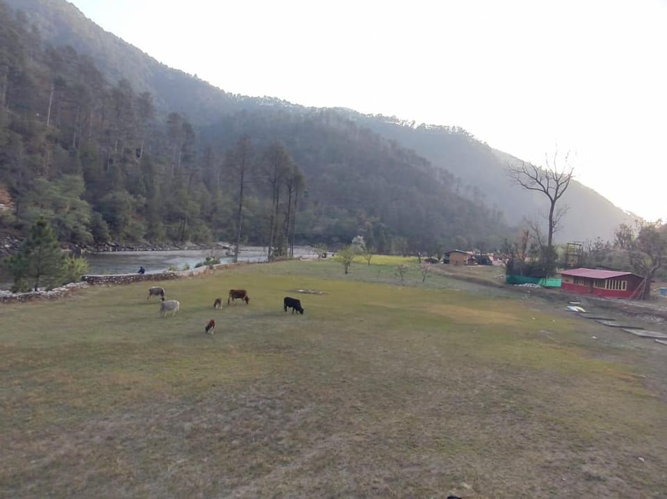Nirvana Eco Resort, Village Mora, Mori Vacation rental in Uttarakhand