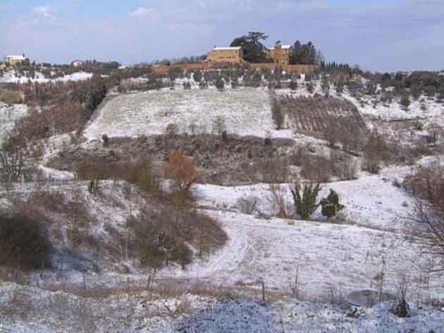 Natural landscape