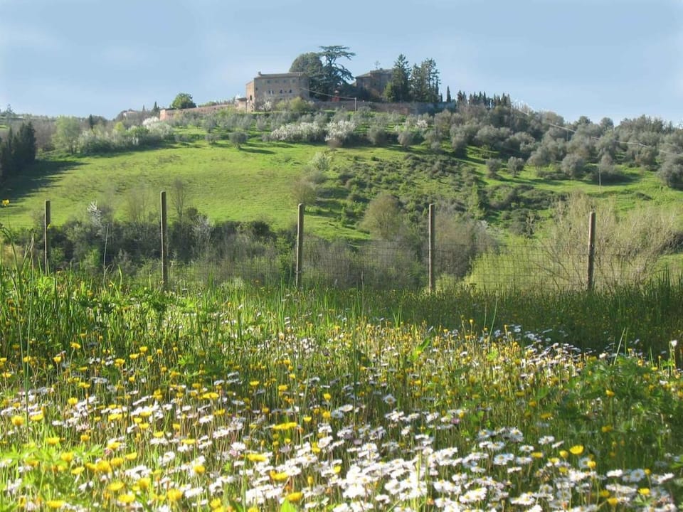 Natural landscape