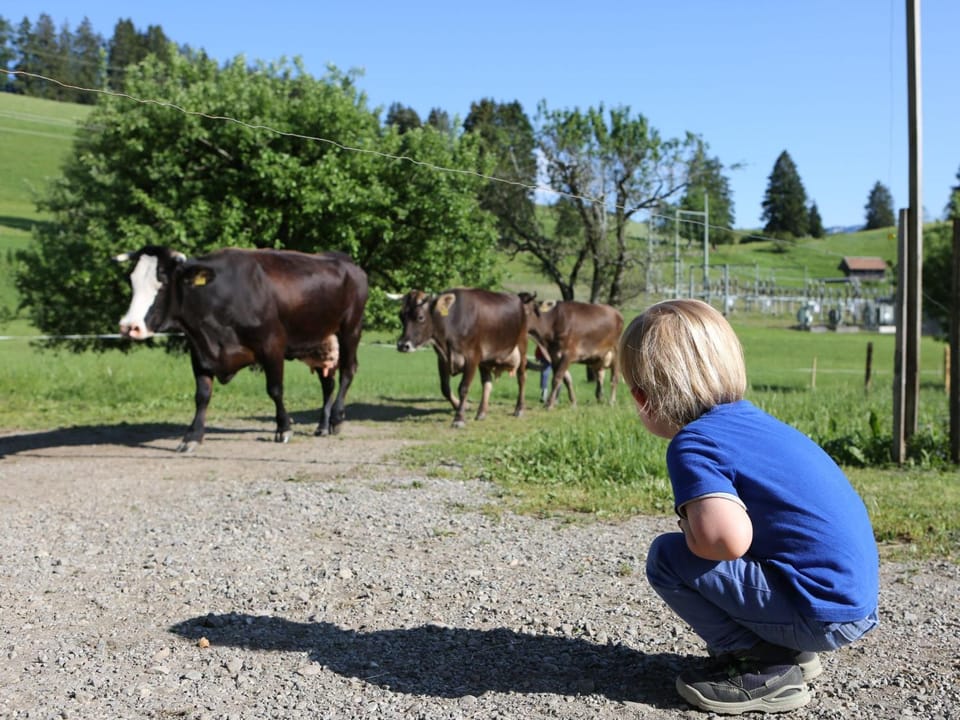 Animals, children
