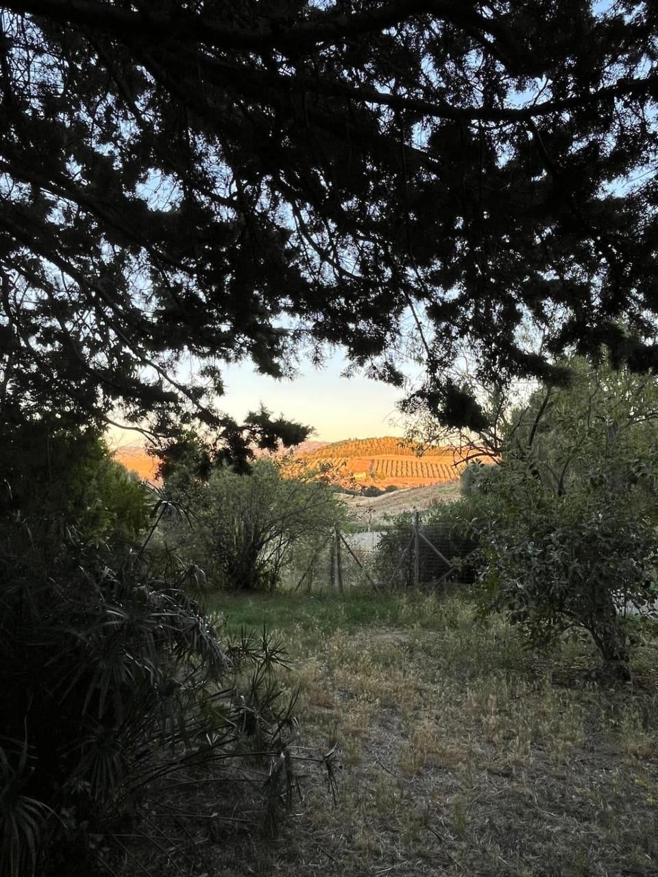 Podere le Terre Cotte Apartment in Tuscany