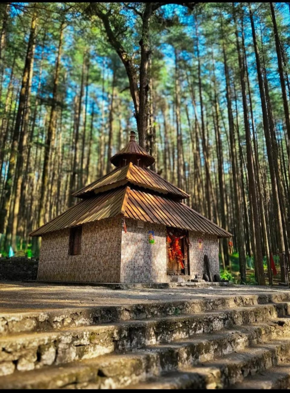 Green View Homestay Vacation rental in Uttarakhand