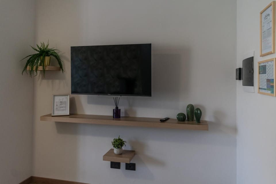 TV and multimedia