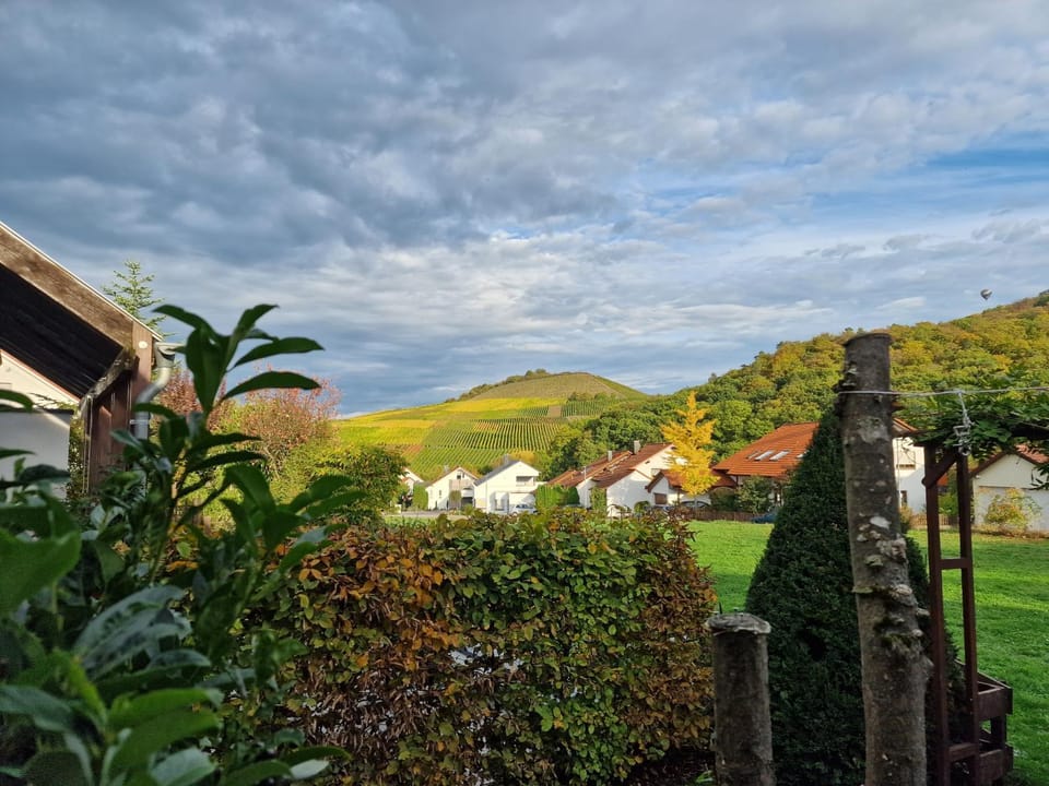 Day, Natural landscape, Garden, Balcony/Terrace, Garden view, Mountain view
