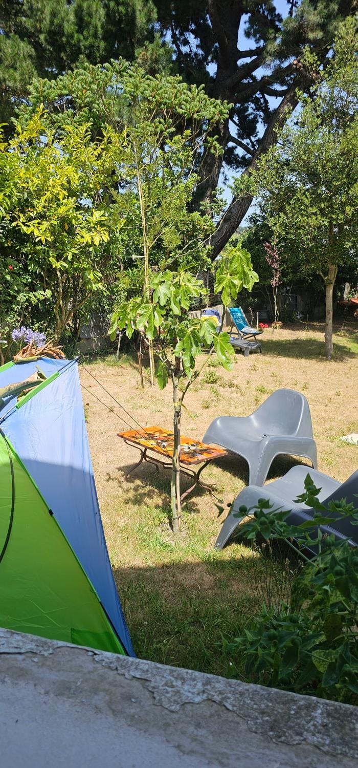 Property building, Garden