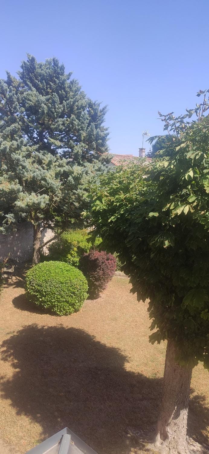 Garden, Garden view