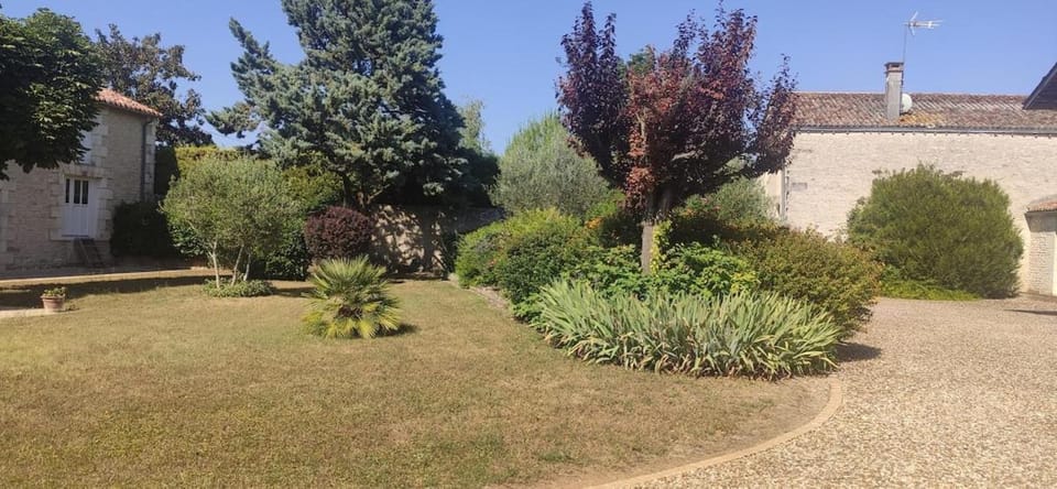 Natural landscape, Garden, Garden view