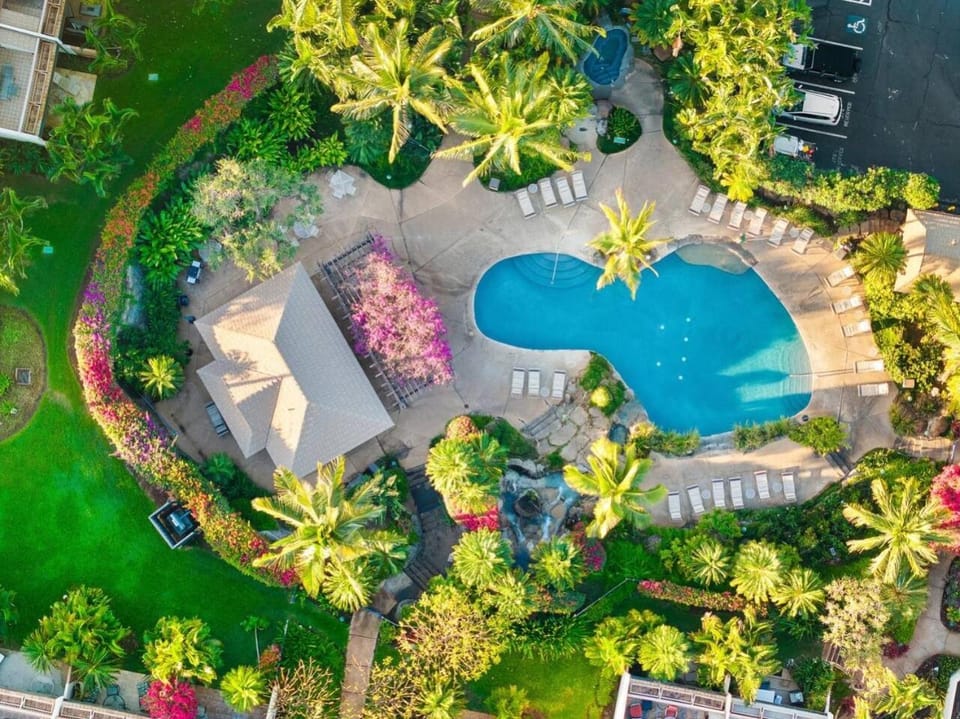 Bird's eye view, Garden, Garden view, Swimming pool, Swimming pool, sunbed
