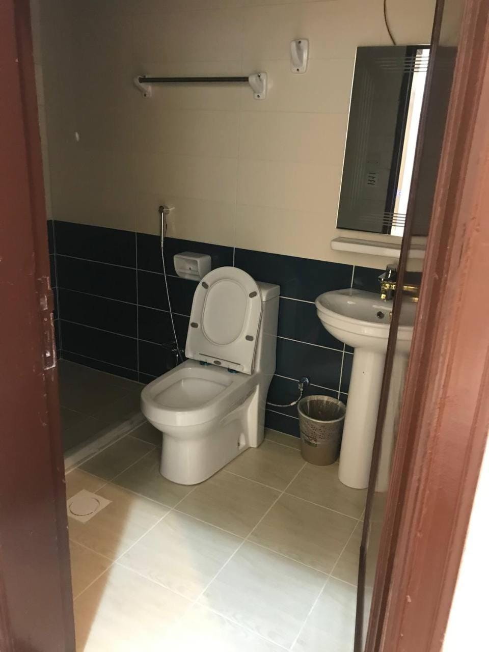 Shower, Toilet, Bathroom, Facility for disabled guests, bidet, acessibility