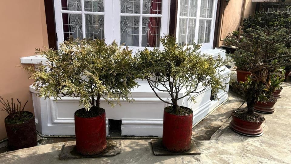 Flavors Heritage Marjorie Villa Vacation rental in Darjeeling