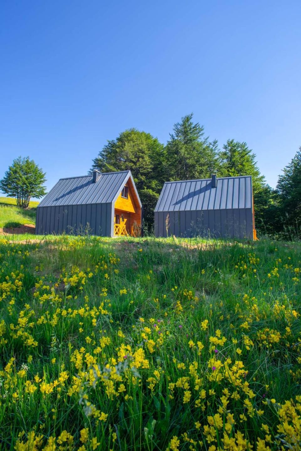 Property building, Natural landscape, Garden, Garden view