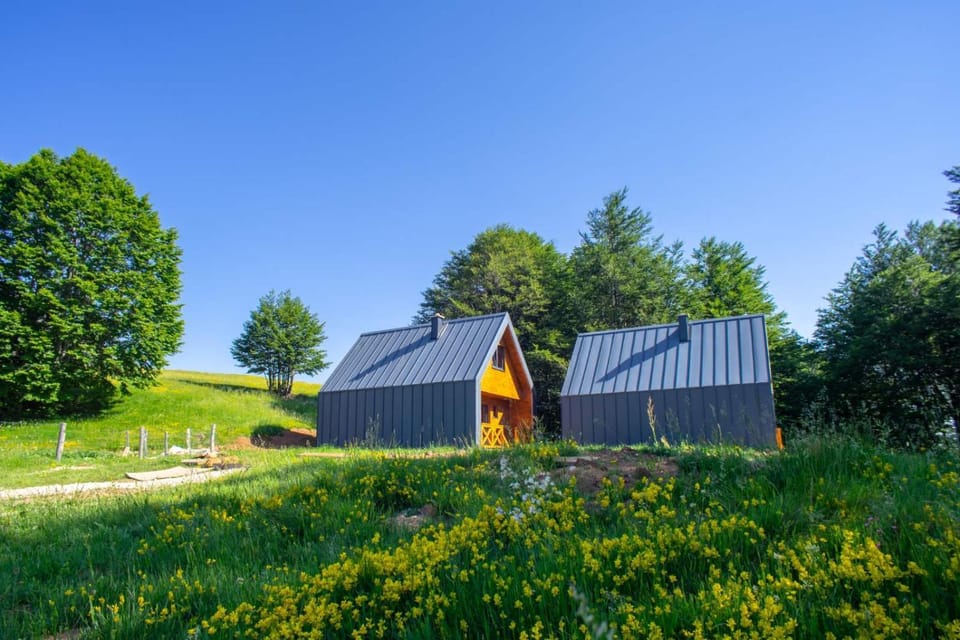 Property building, Day, Natural landscape, Garden