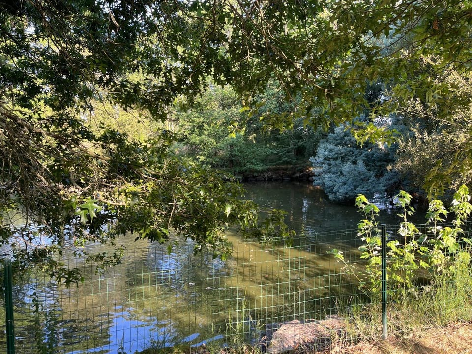 Lake view