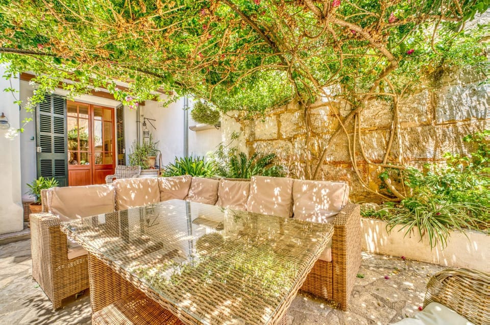 Patio, Garden, Garden view