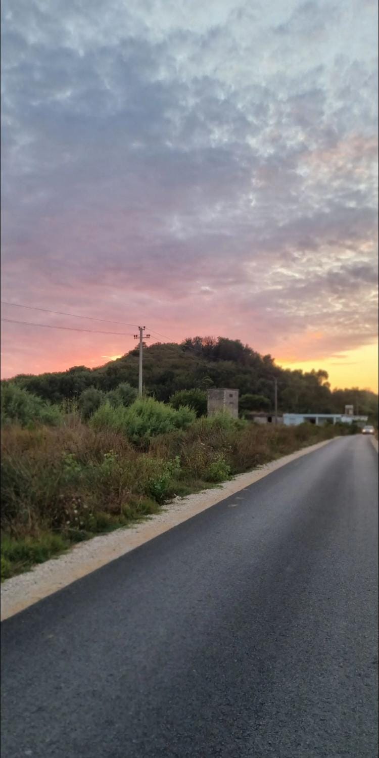Property building, Day, Garden, Garden view, Sunrise, Sunset