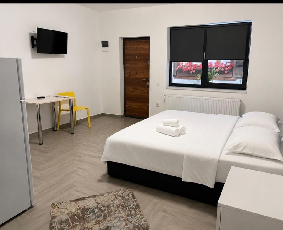 Turda INN Private Free Parking Apartment in Cluj County
