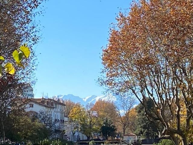 les jardins du palais Apartment in Perpignan