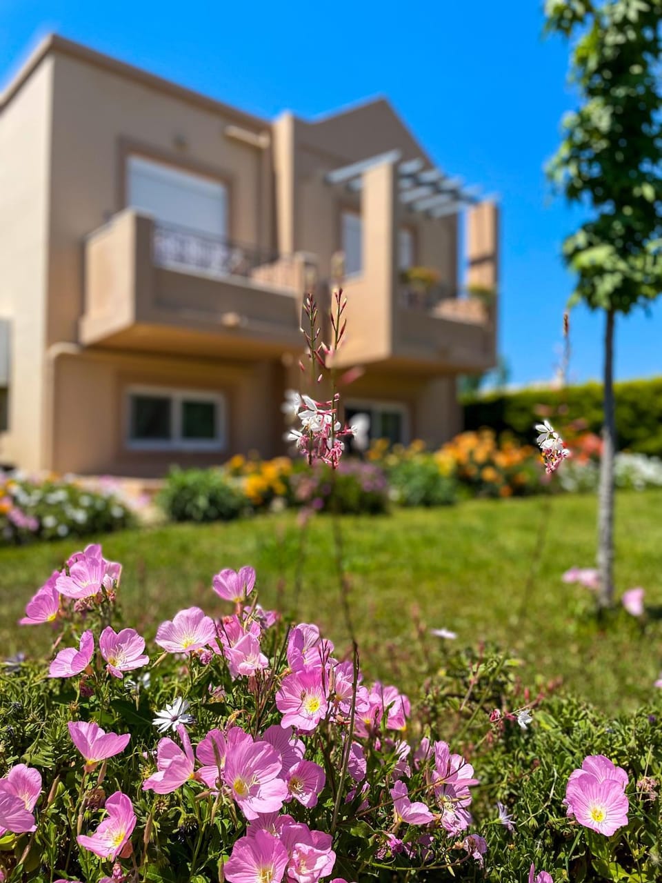 Property building, Garden, Garden view