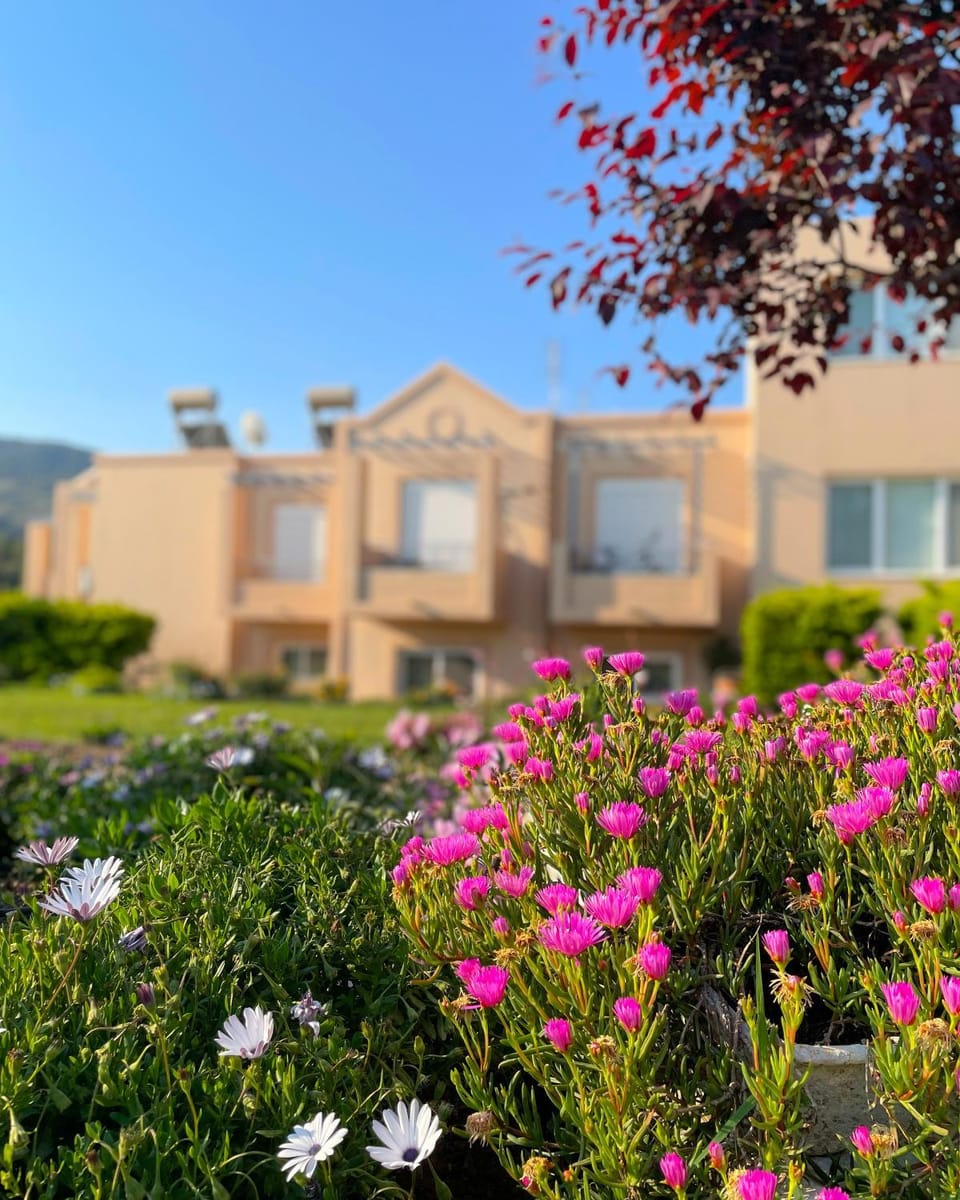 Property building, Garden, Garden view