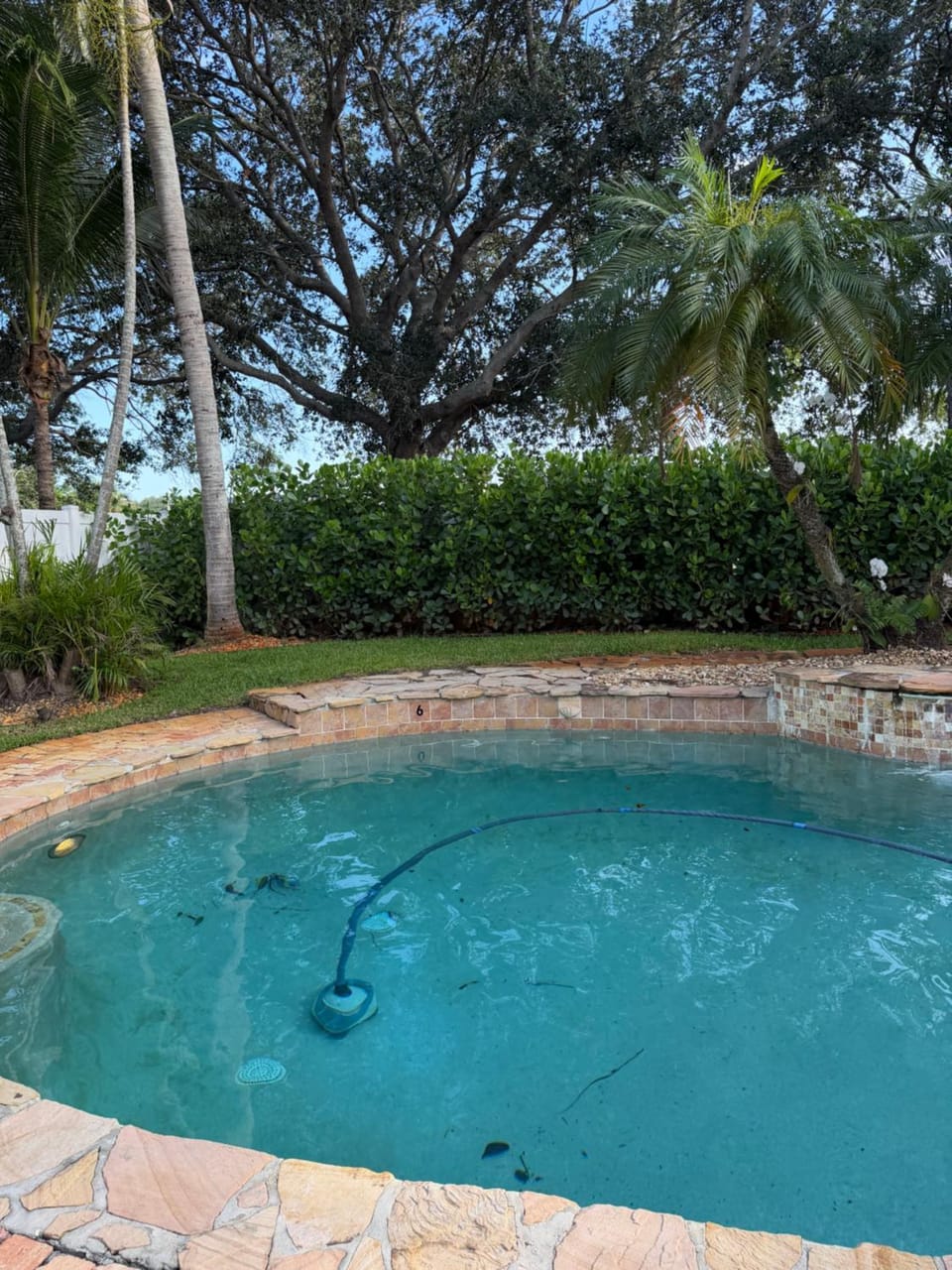 Garden, Swimming pool
