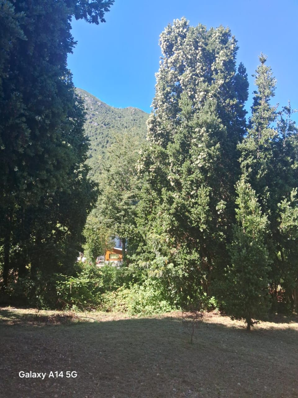 Refugio de la Montaña 2 personas House in Los Ríos, Chile