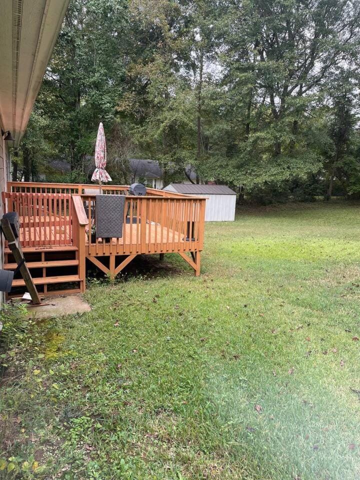 Natural landscape, group of guests