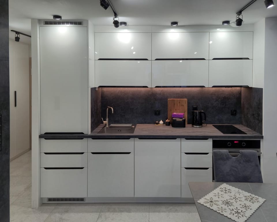 Kitchen or kitchenette, dishwasher, oven, stove