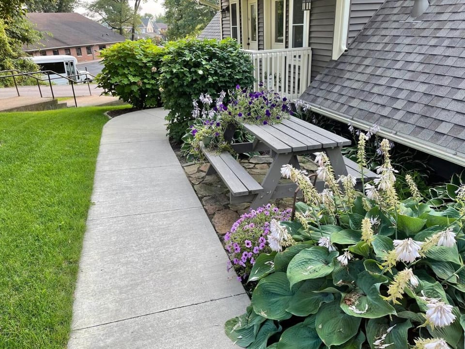 Property building, Garden view