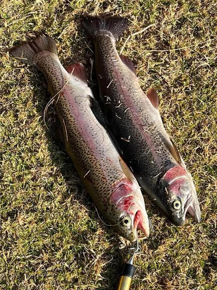 Fishing, Animals