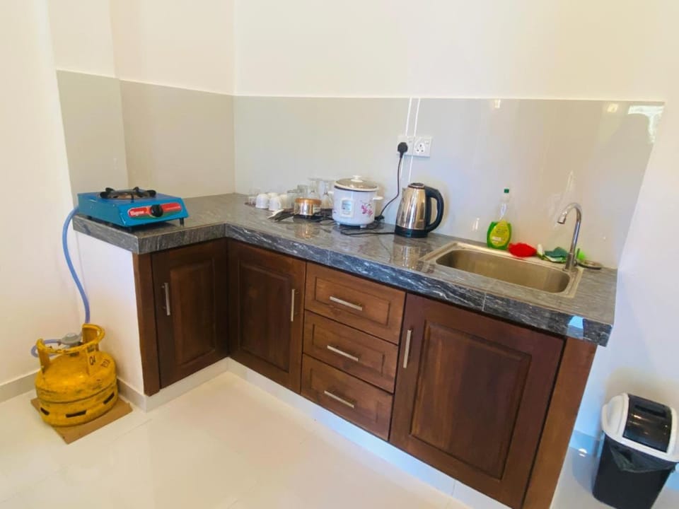 Kitchen or kitchenette, kitchen, kitchen