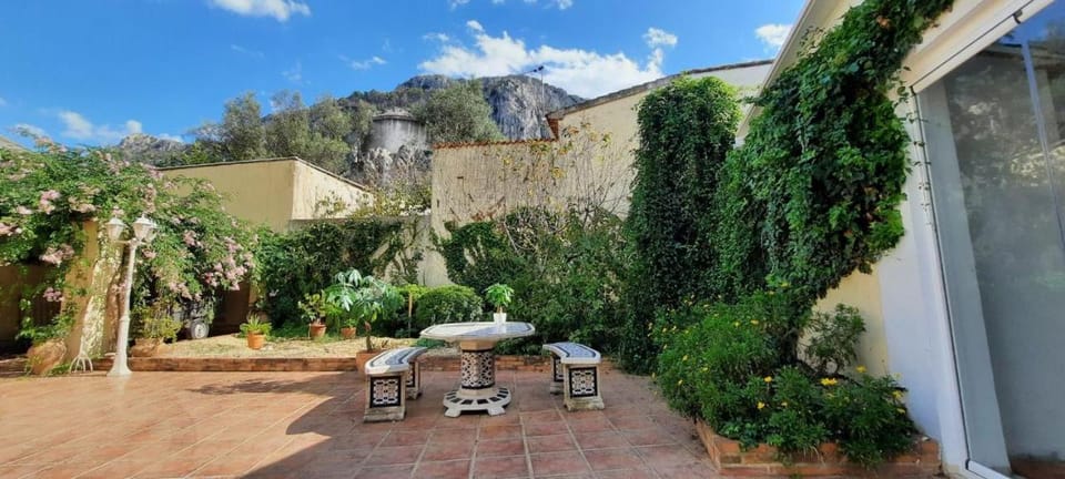 Patio, Garden view