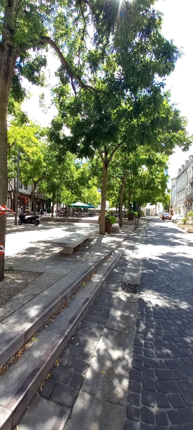 Neighbourhood, Street view