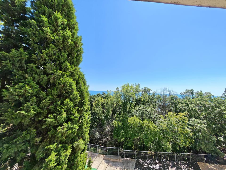 Day, Natural landscape, View (from property/room)