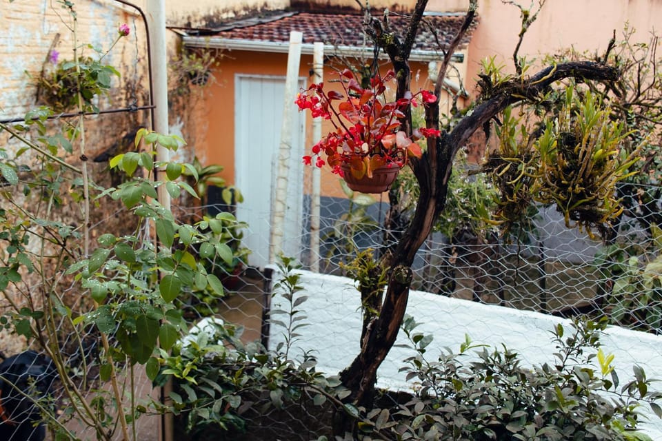Spring, Garden, Garden view