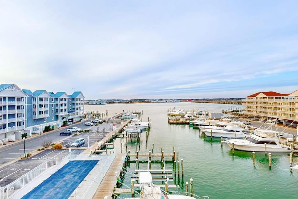 White Marlin 406B House in Ocean City