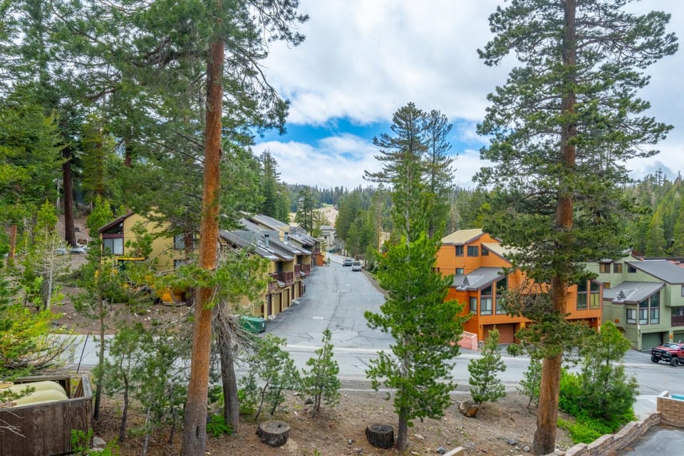 Day, Neighbourhood, Natural landscape, Quiet street view