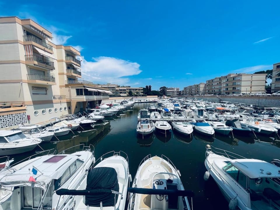 Studio cosy avec piscine, port et plages à pied Apartment in Mandelieu-La Napoule