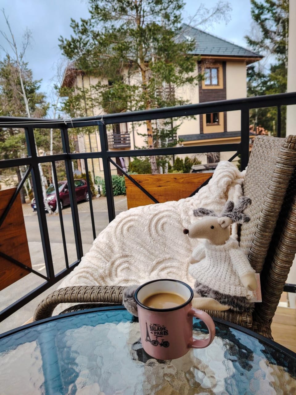 Balcony/Terrace