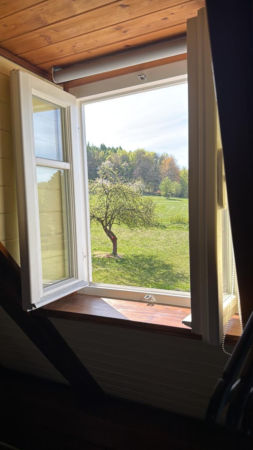 Garden view