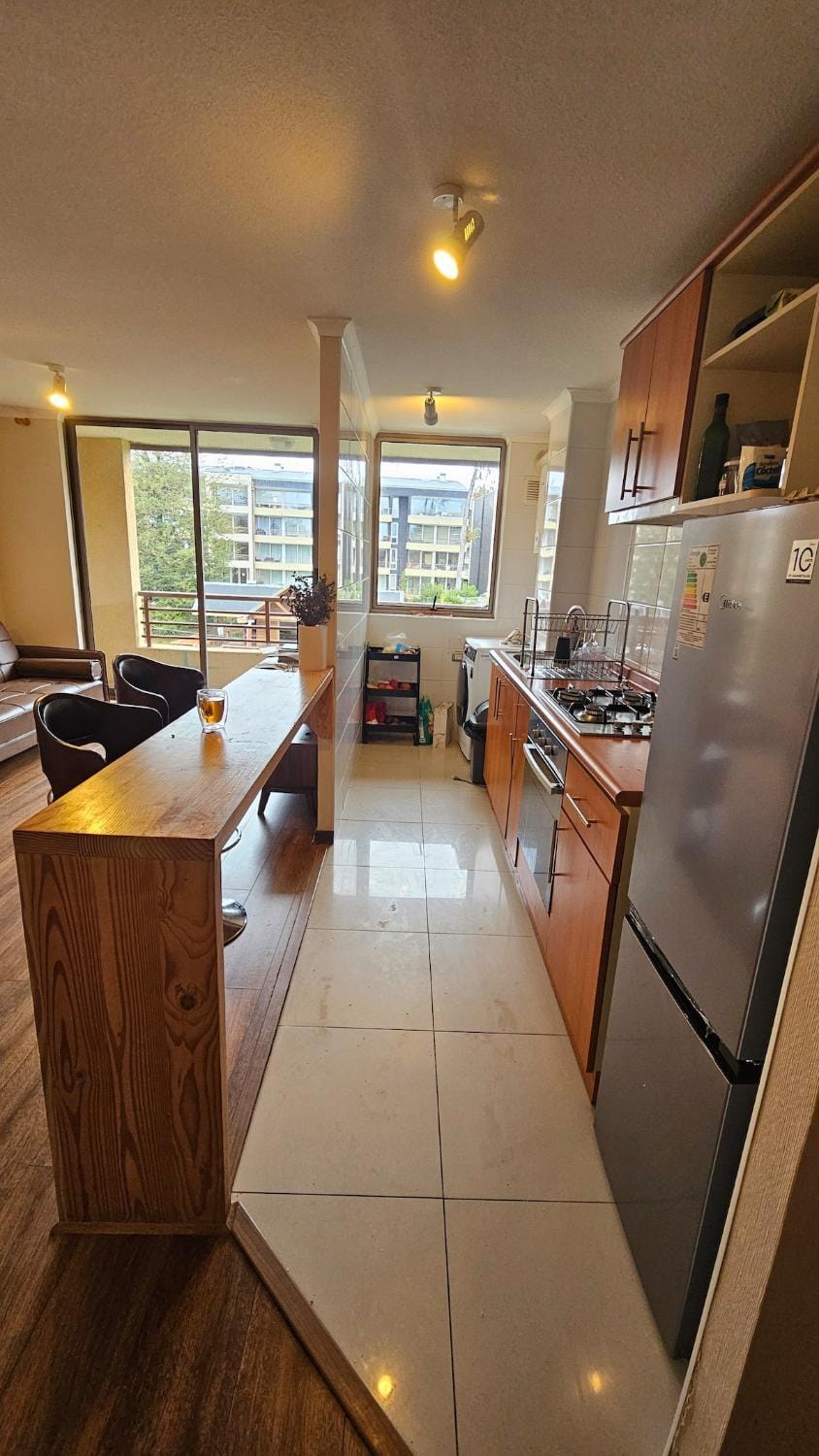 Departamento con vista al Volcan Apartment in Pucon