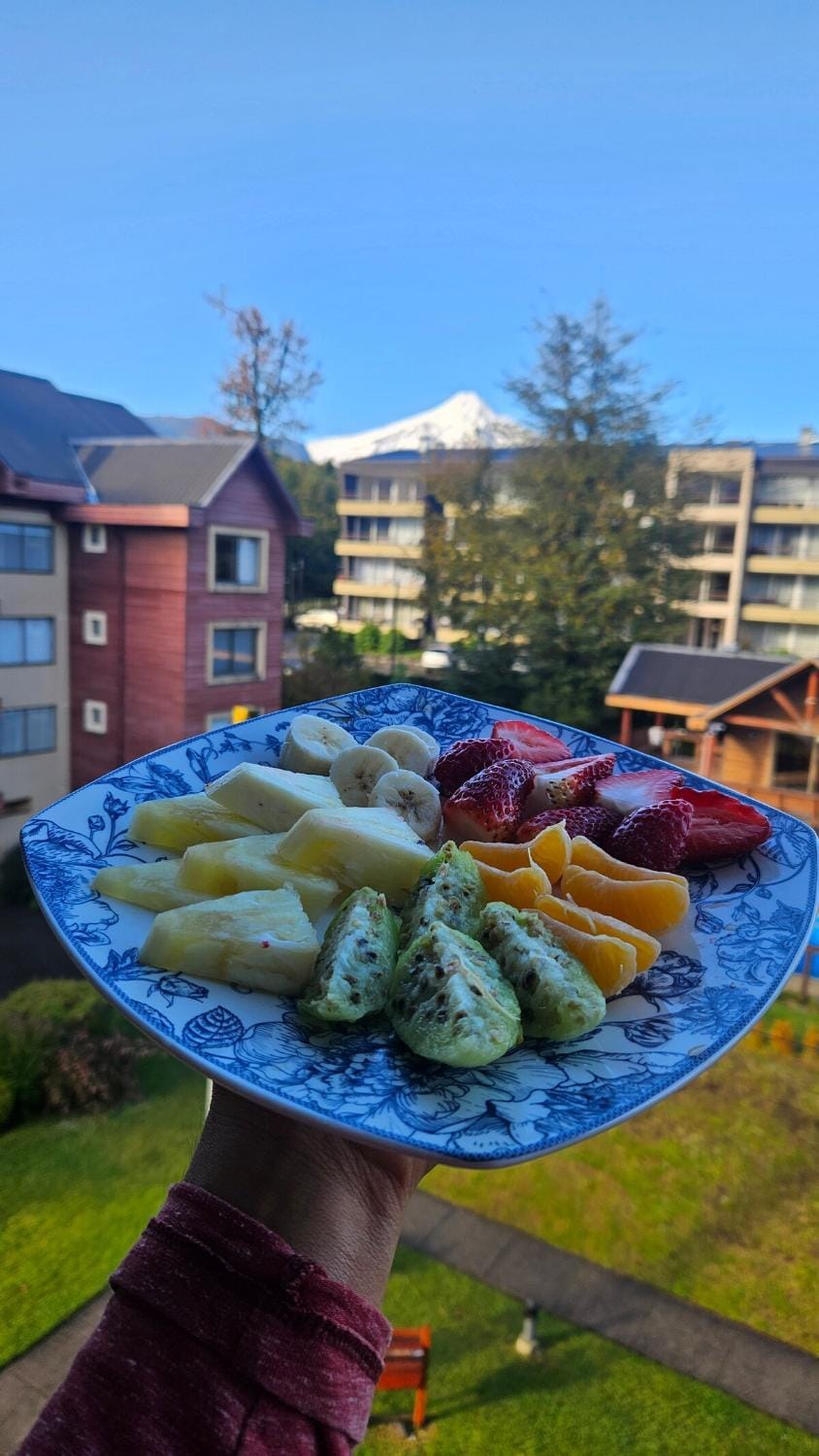 Departamento con vista al Volcan Apartment in Pucon