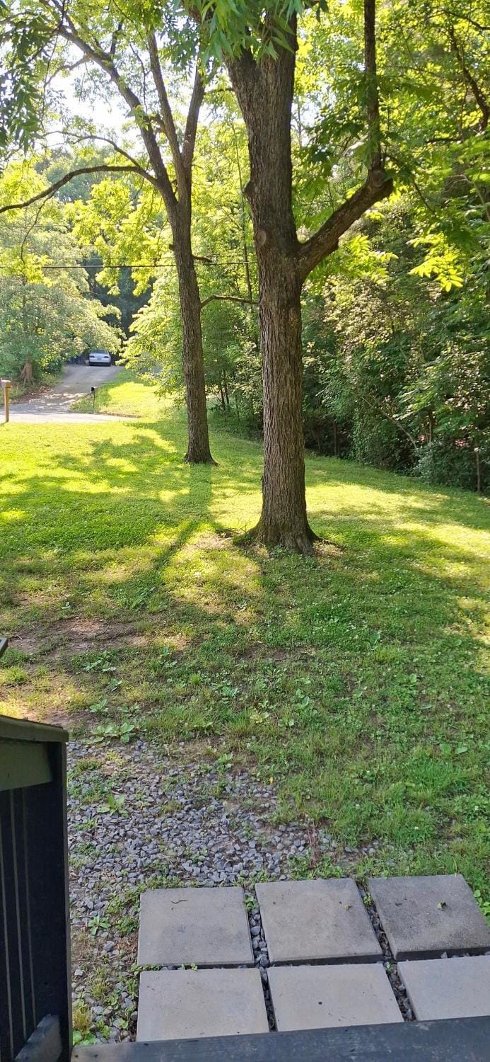 Cozy Spot Near NCCU, Downtown & Duke House in Durham