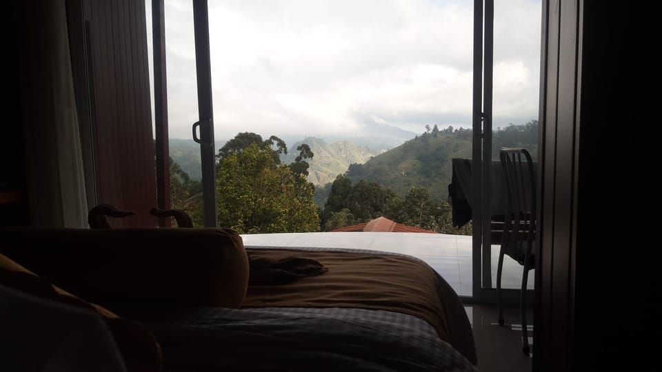 View (from property/room)